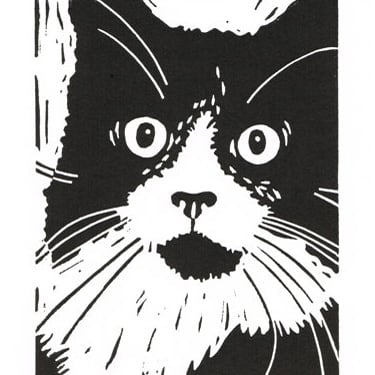 Black and White Cat - Tuxedo - Original Hand Pulled Linocut Print
