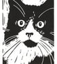 Black and White Cat - Tuxedo - Original Hand Pulled Linocut Print - Image 1