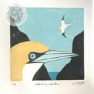 Linocut - original linocut of gannets
