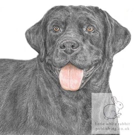 Harper the Black Labrador - Blank Card