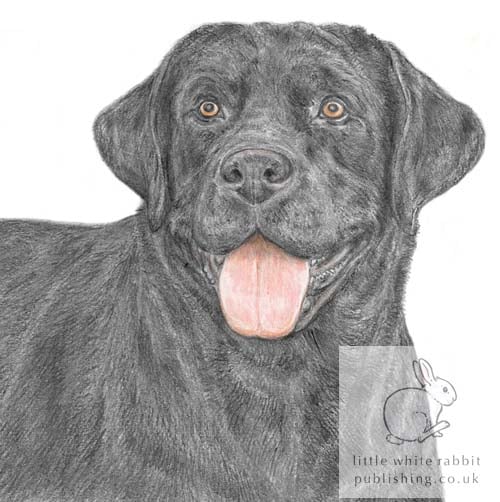 Harper the Black Labrador - Blank Card