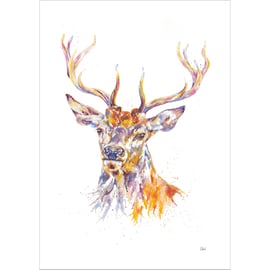 Stag watercolour print, painting, illustration, woodland, wildlife, nature