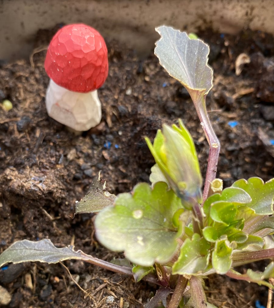 Hand-carved Toadstool Plant Pal