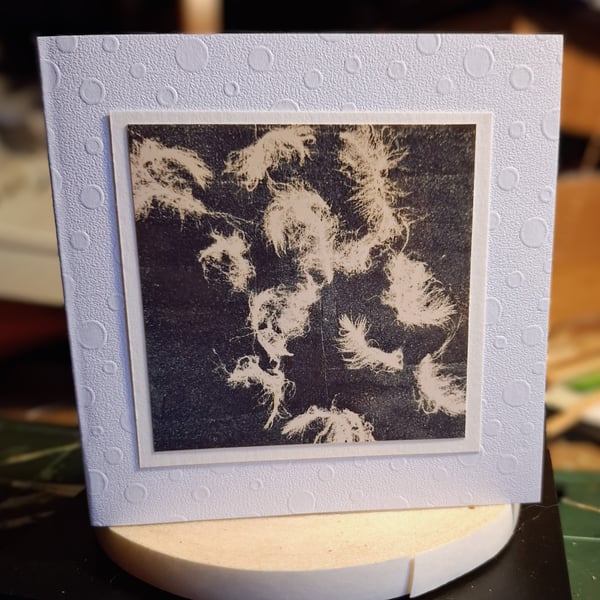 Two nature inspired cards. Feathers and Leaf prints. 14x14cm, Blank.