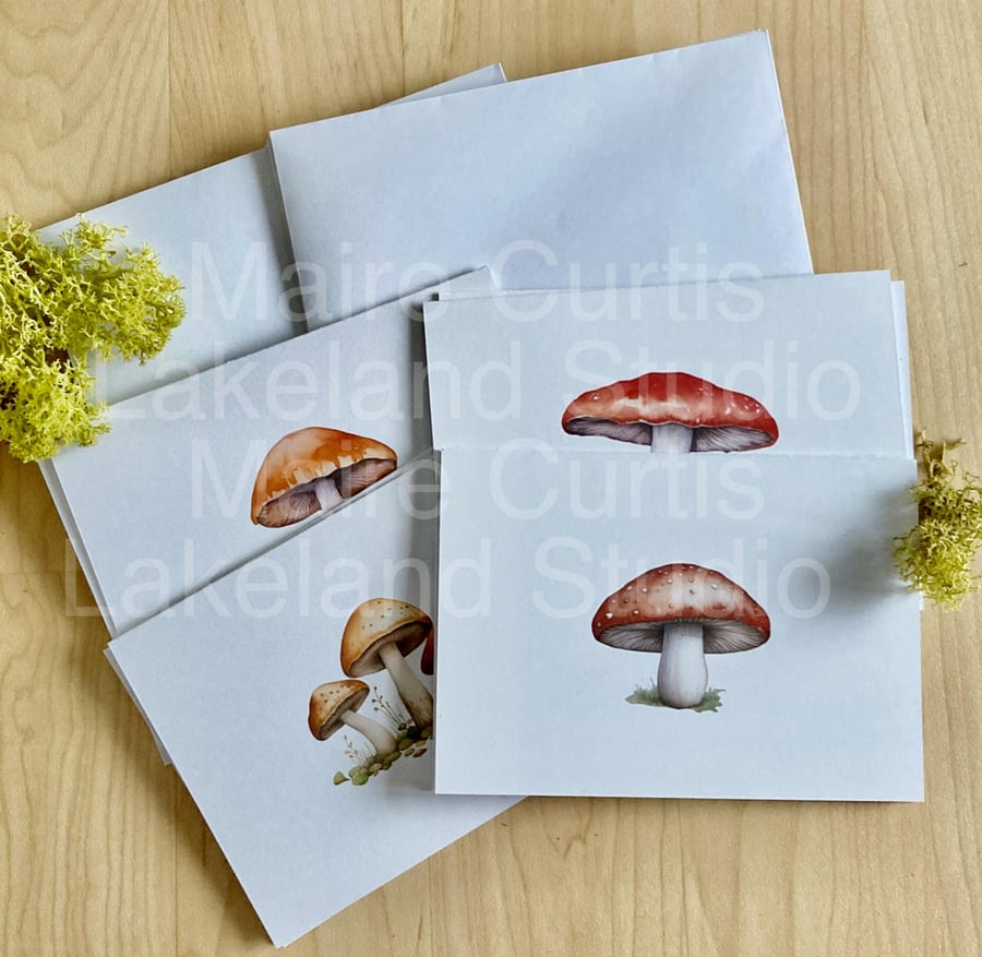 Fungi Cards Set of 8 A6 Folded cards with envelopes in Gift box