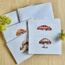 Fungi Cards Set of 8 A6 Folded cards with envelopes in Gift box