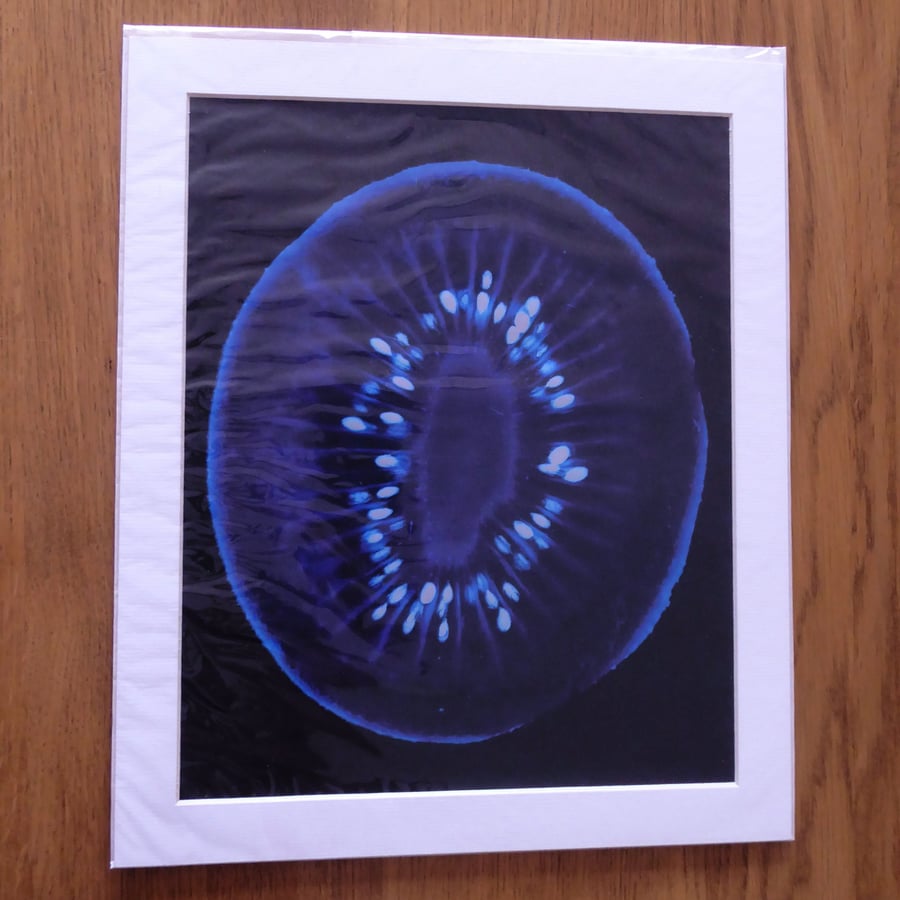 Kiwi Print from Original Photogram - Ivory mount to fit 10x12 inch frame 