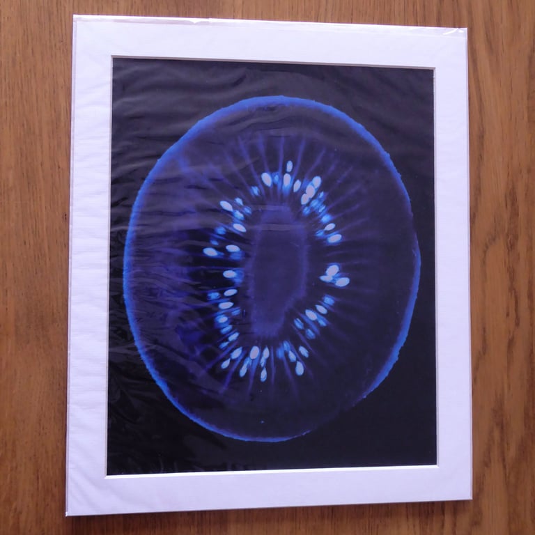 Kiwi Print from Original Photogram - Ivory mount to fit 10x12 inch frame 