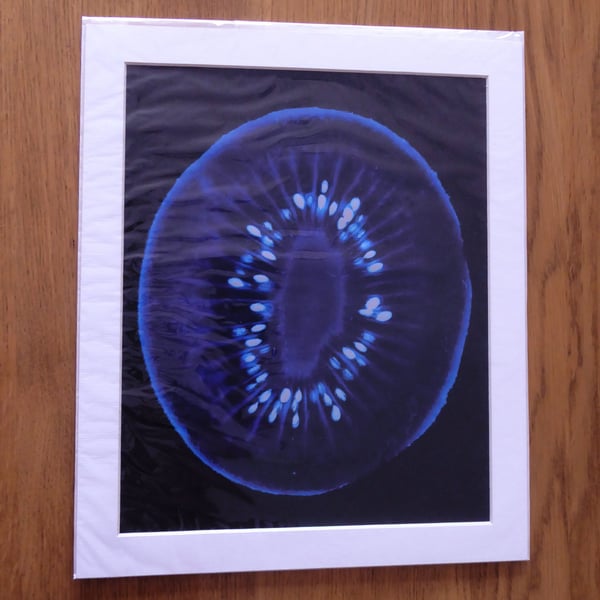 Kiwi Print from Original Photogram - Ivory mount to fit 10x12 inch frame 