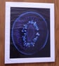 Kiwi Print from Original Photogram - Ivory mount to fit 10x12 inch frame 