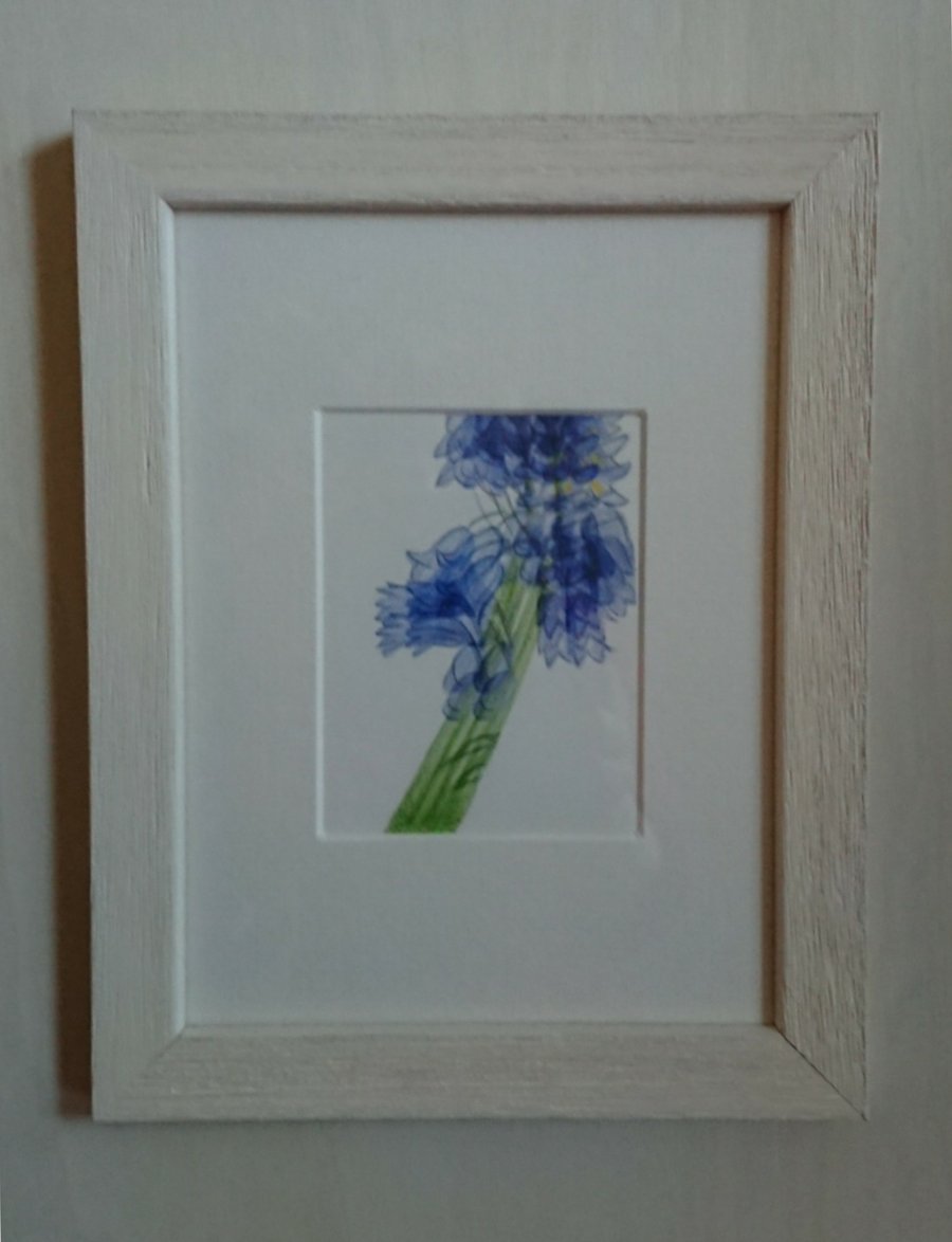 Bluebells Spring flower picture in small white frame