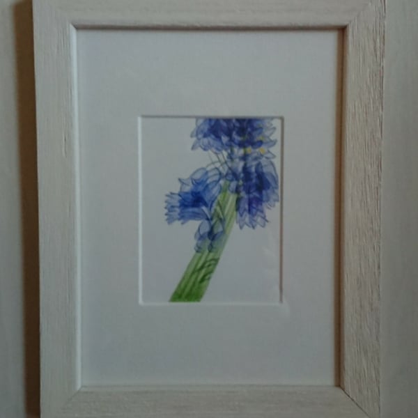 Bluebells Spring flower picture in small white frame