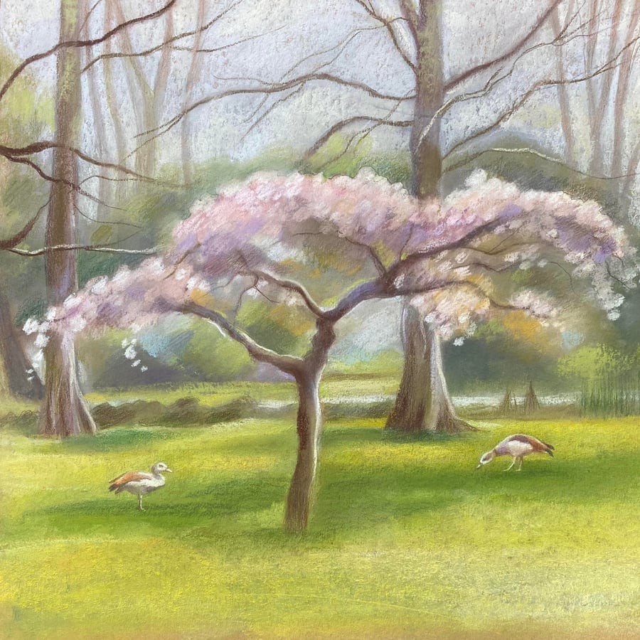 Blossom Tree pastel drawing - wildlife art, Egyptian geese, tree art, landscape