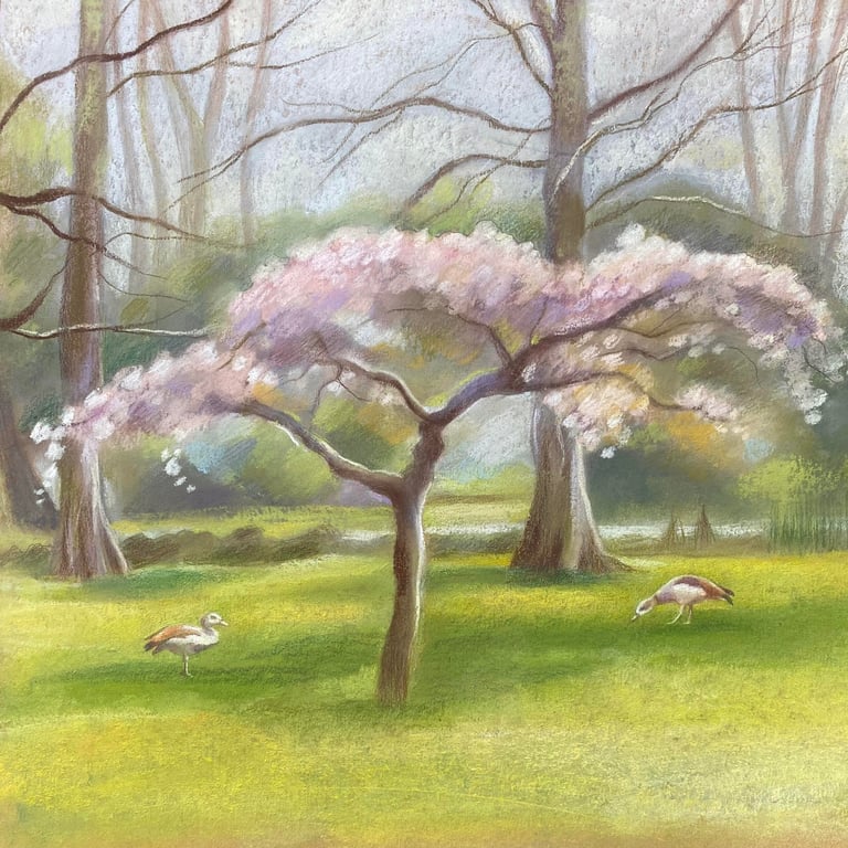 Blossom Tree pastel drawing - wildlife art, Egyptian geese, tree art, landscape