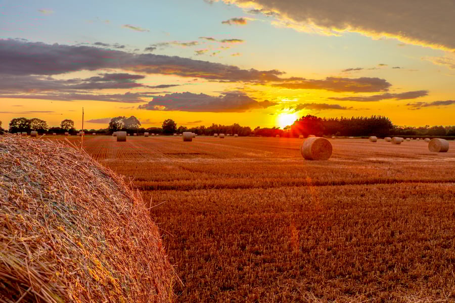 Countryside Collection - Harvest Sunset - Photographic Mounted Image