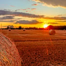 Countryside Collection - Harvest Sunset - Photographic Mounted Image