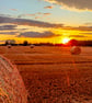 Countryside Collection - Harvest Sunset - Photographic Mounted Image
