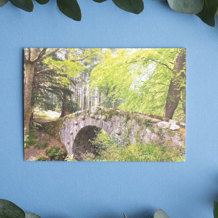 Exploring Tolleymore Forest Park - Blank Landscape Greetings Card & Envelope