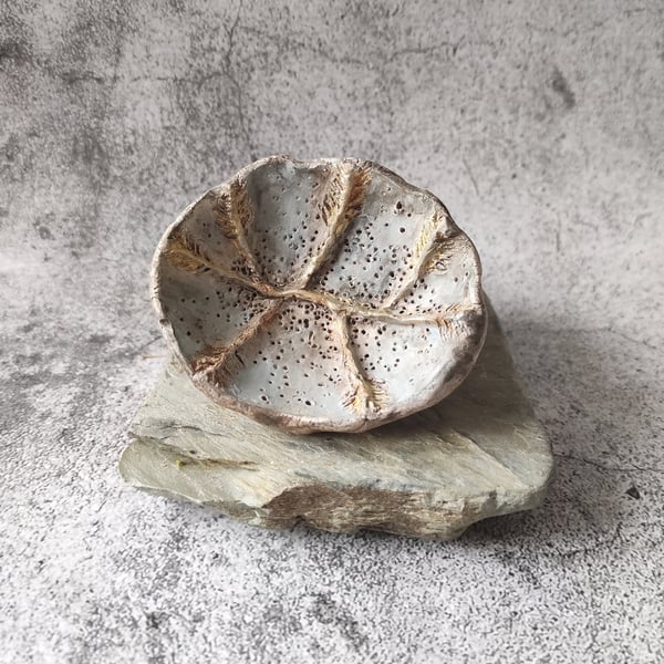 Sea Fossil Dish, Clay Pastel Trinket Bowl, Handmade Ceramic Vessel