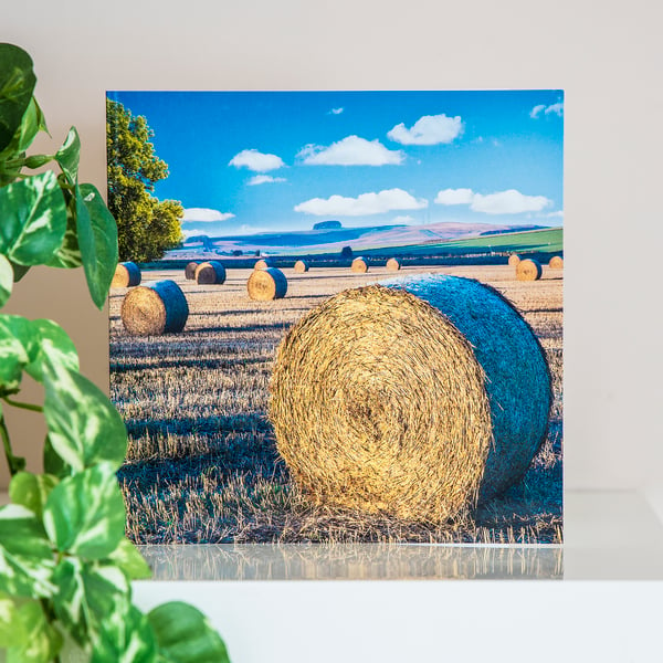 Hay Straw Bales Blank Greetings Card harvest late summer English countryside UK 