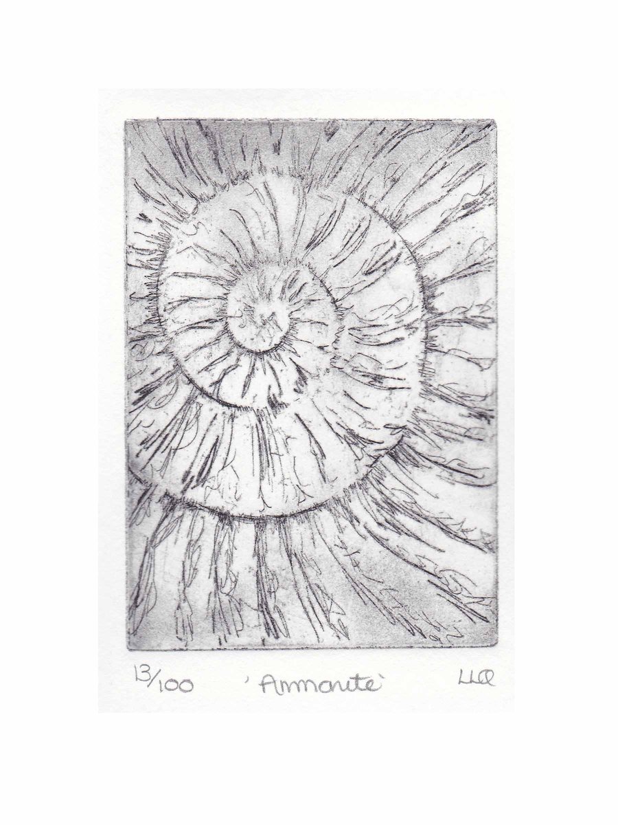 Etching no.13 of an ammonite fossil in an edition of 100