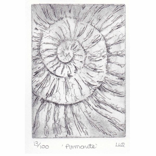 Etching no.13 of an ammonite fossil in an edition of 100