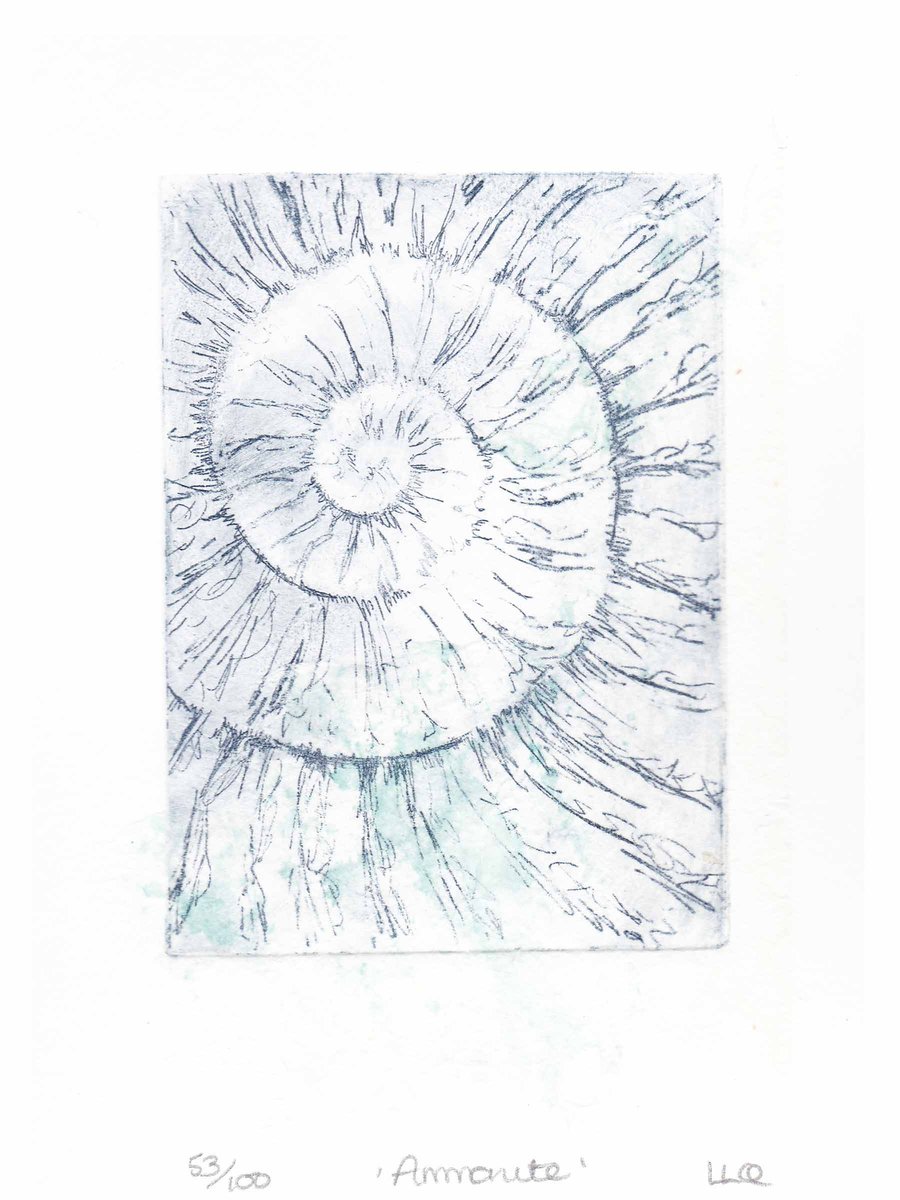 Etching no.53 of an ammonite fossil with chine colle in an edition of 100