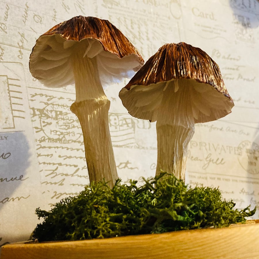 2 Brown paper woodland mushrooms in a glass dome 