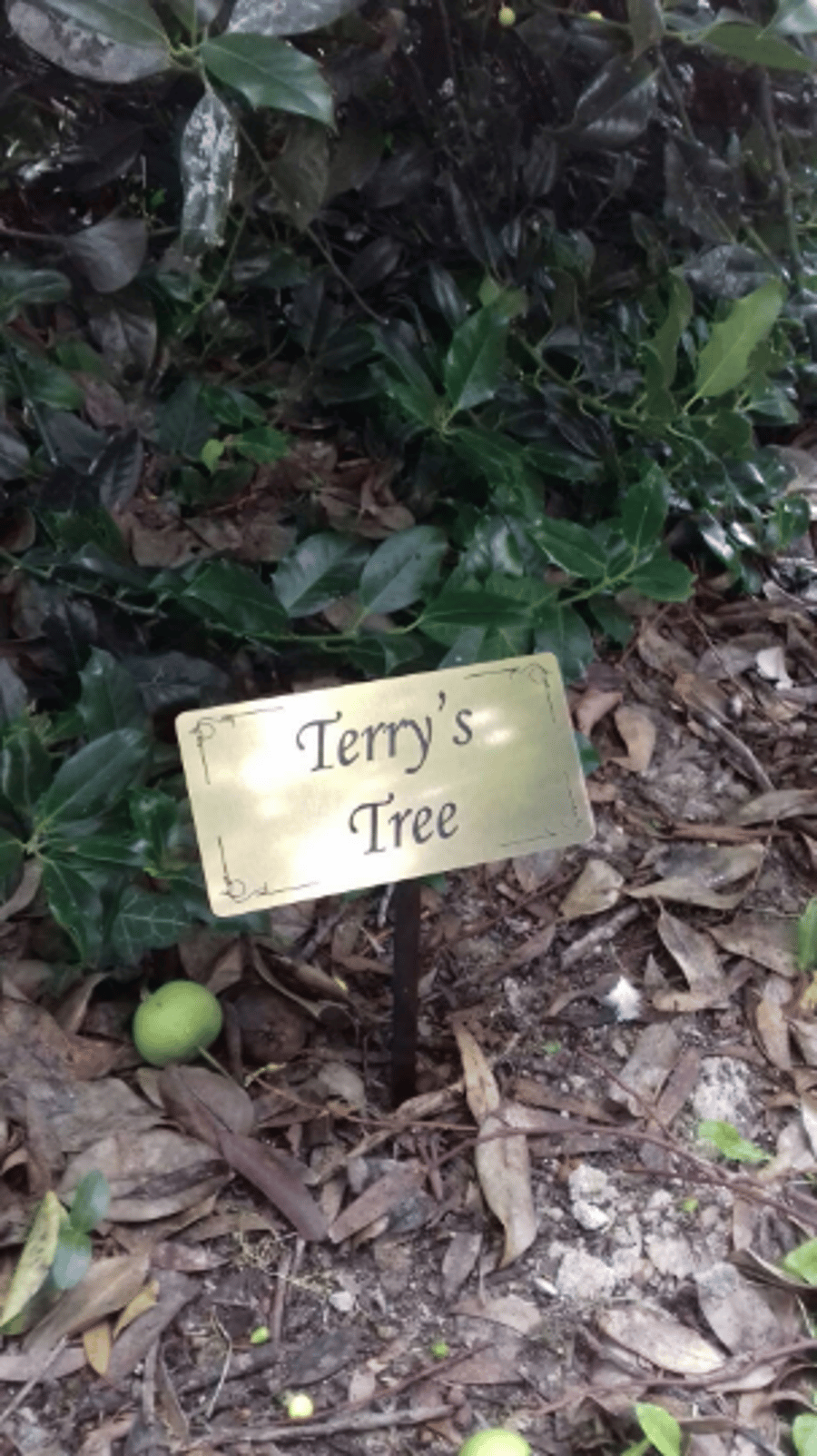 Personalised Memorial plaque, Dedication tree marker.PERSONALIZED Memory Plaque,