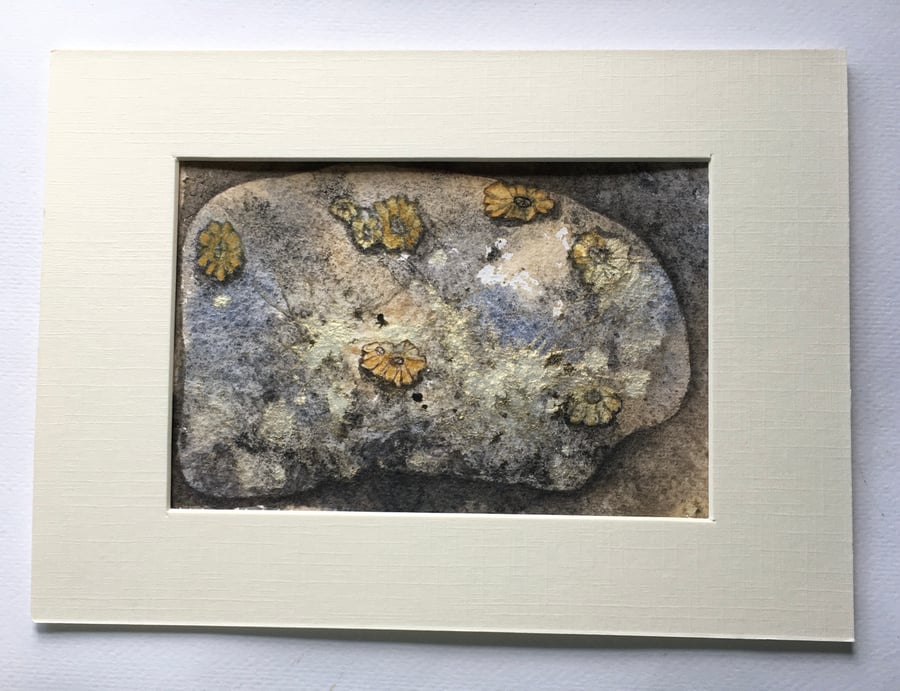 Barnacle rock painting 