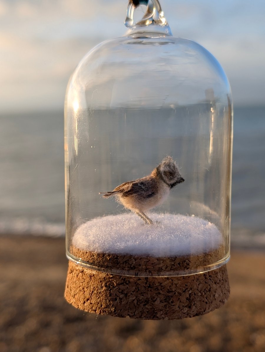 Tiny wool miniature Crested Tit in hanging bell-jar