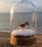 Tiny wool miniature Crested Tit in hanging bell-jar