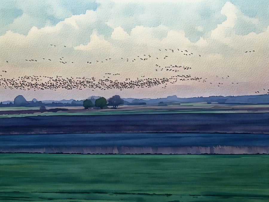 Murmurations Of Birds December 2025 Norfolk Greeting Card A5