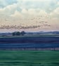 Murmurations Of Birds December 2025 Norfolk Greeting Card A5