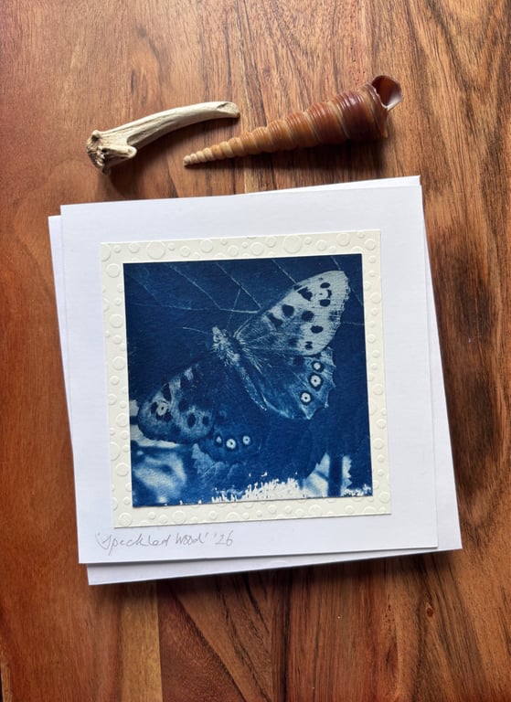 Speckled Wood Butterfly - Cyanotype Card with envelope