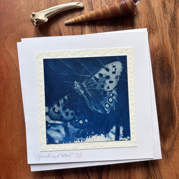 Speckled Wood Butterfly - Cyanotype Card with envelope