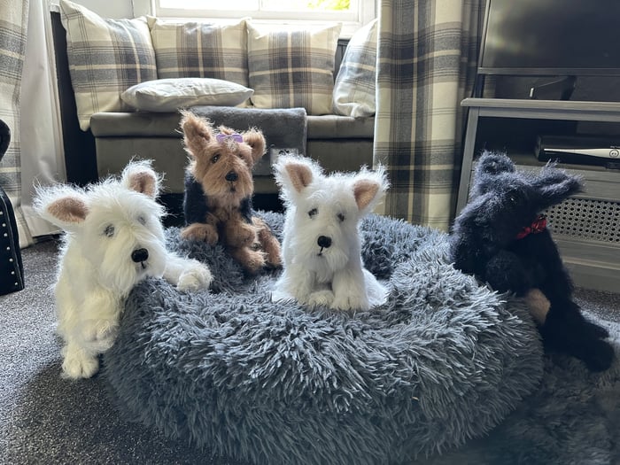 Little Paws Knits