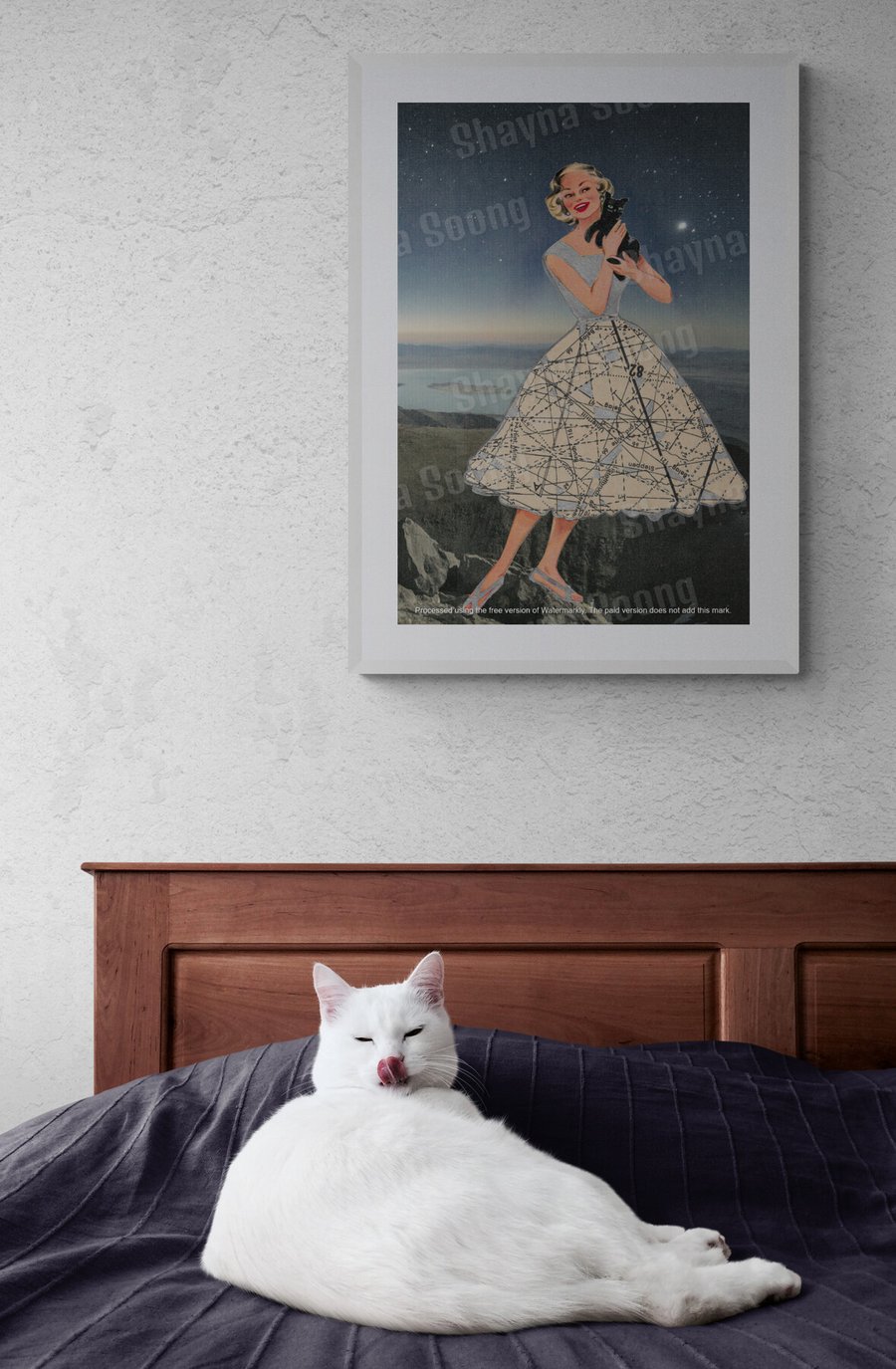 'Pet' print of handmade collage