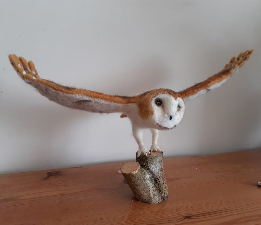 Needle felted wool sculpture Barn Owl ooak,collectable 
