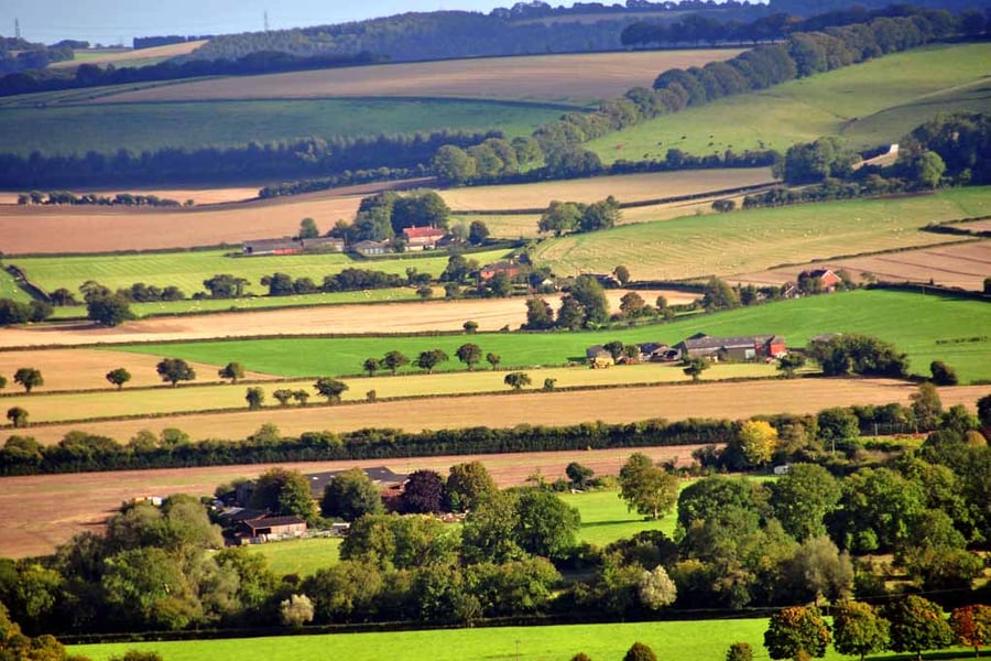 South Downs Beacon Hill Hampshire England Photograph Print