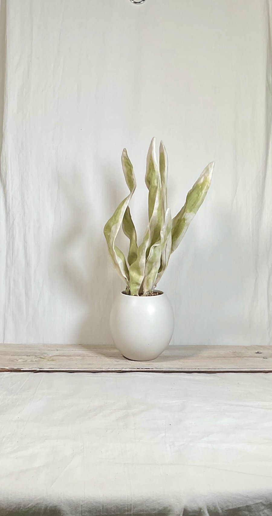 Fabric house plant. Easy care house plant. Artificial houseplant ornament. House