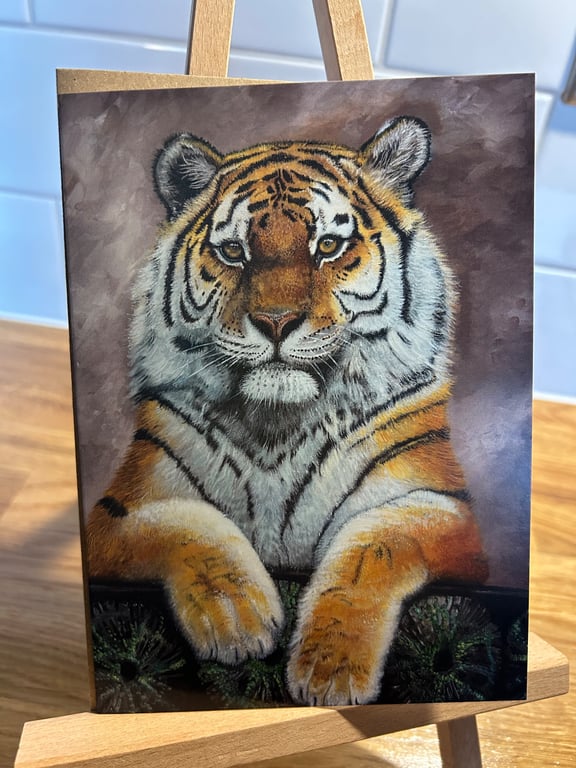5x7 inch Tiger Looking Out Card