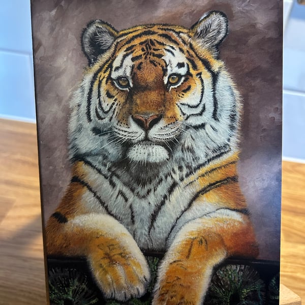 5x7 inch Tiger Looking Out Card