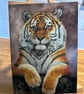 5x7 inch Tiger Looking Out Card