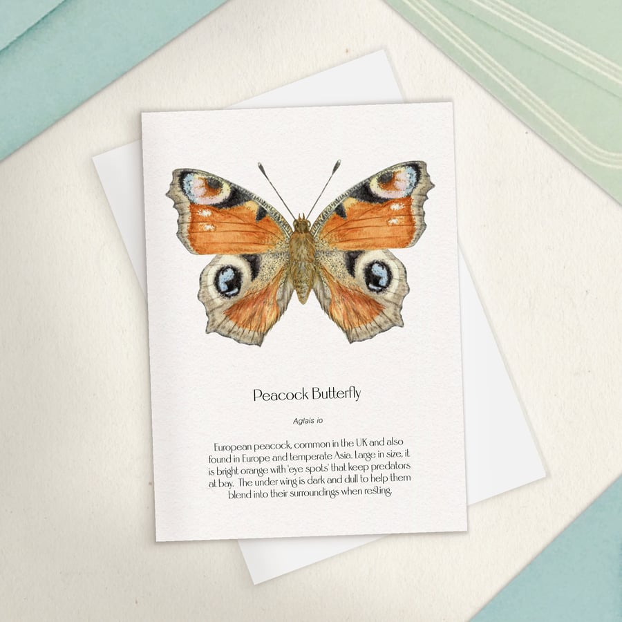 Single Peacock Butterfly Greetings Card - A6 Size