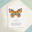 Single Peacock Butterfly Greetings Card - A6 Size