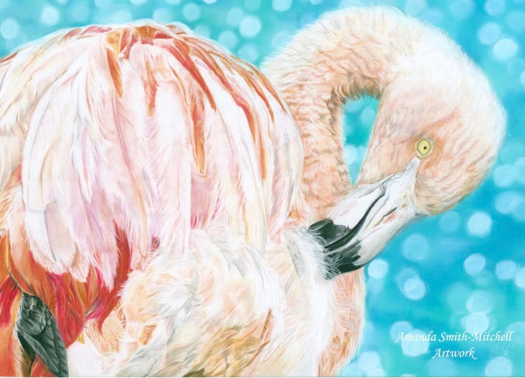Flamingo By The Sea, original pastel pencil artwork