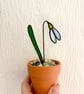 Iridescent white stained glass snowdrop in a pot, spring flowers
