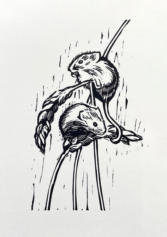Harvest Mice - Linocut Print