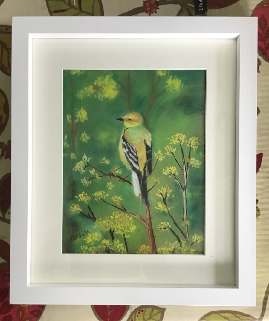 Original Pastel, Painting, Yellow Wagtail, by Pat Smith, Mounted and Framed